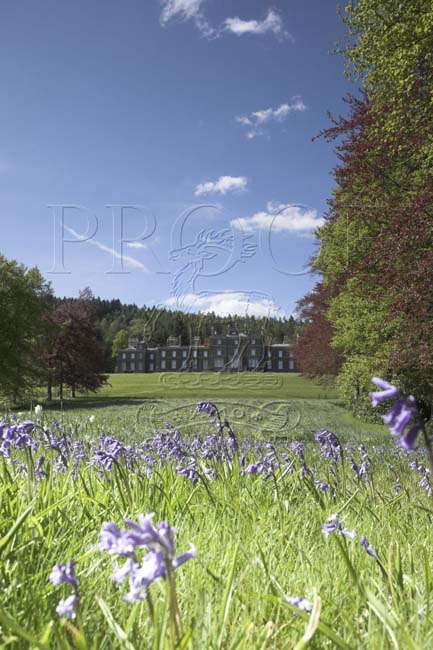 BOWHILL_HOUSE_004