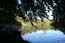 BOWHILL_LANDSCAPES_006